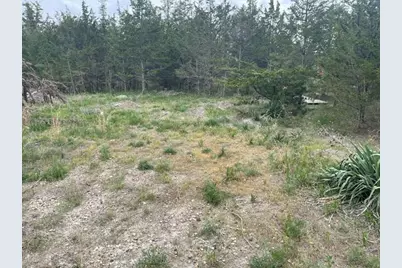 Case Drive, Union City, MI 49094 - Photo 6
