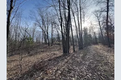 7584 Railroad Grade, Nester, MI 48624 - Photo 128