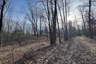 7584 Railroad Grade, Nester, MI 48624 - Photo 128