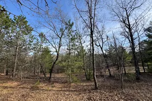 7584 Railroad Grade, Nester, MI 48624 - Photo 132