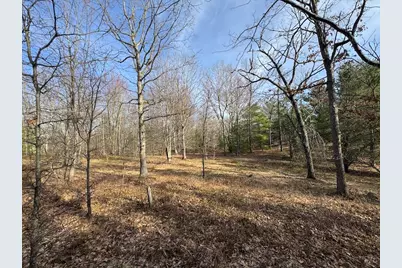 7584 Railroad Grade, Nester, MI 48624 - Photo 142