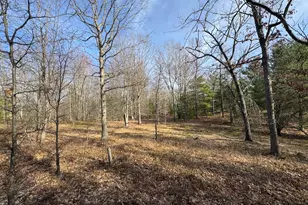 7584 Railroad Grade, Nester, MI 48624 - Photo 142
