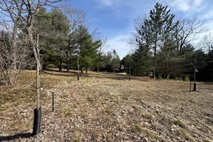7584 Railroad Grade, Nester, MI 48624 - Photo 10