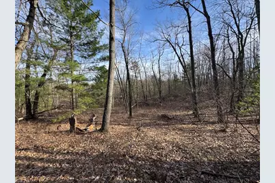 7584 Railroad Grade, Nester, MI 48624 - Photo 118