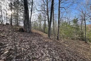 7584 Railroad Grade, Nester, MI 48624 - Photo 20