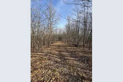 7584 Railroad Grade, Nester, MI 48624 - Photo 138