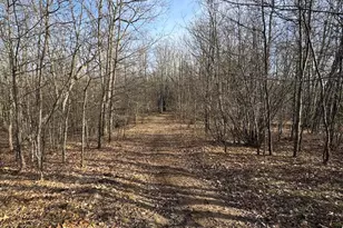 7584 Railroad Grade, Nester, MI 48624 - Photo 138