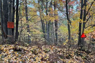7584 Railroad Grade, Nester, MI 48624 - Photo 6