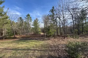 7584 Railroad Grade, Nester, MI 48624 - Photo 126