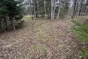 850 Jessica Ln, Rose City, MI 48654 - Photo 72