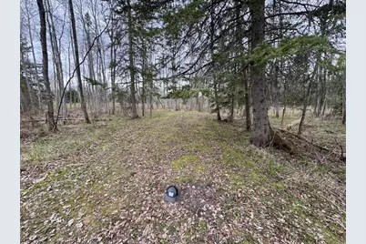850 Jessica Lane, Rose City, MI 48654 - Photo 62