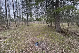 850 Jessica Ln, Rose City, MI 48654 - Photo 62