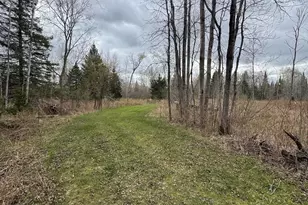 850 Jessica Ln, Rose City, MI 48654 - Photo 64