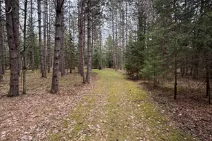 850 Jessica Ln, Rose City, MI 48654 - Photo 92