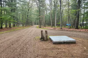 9918 S Rebecca Rd, Baldwin, MI 49304 - Photo 18