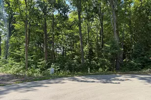 14672 Crst Vw Ct, South Haven, MI 49090 - Photo 6