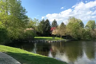 740 Peninsula Ct, Ann Arbor, MI 48105 - Photo 40