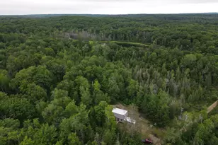 11401 Little George Lake Rd, Gladwin, MI 48624 - Photo 32