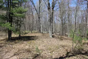 11401 Little George Lake Rd, Gladwin, MI 48624 - Photo 50