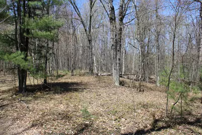 11401 Little George Lake Road, Gladwin, MI 48624 - Photo 52
