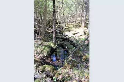 11401 Little George Lake Road, Gladwin, MI 48624 - Photo 54