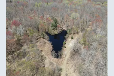 11401 Little George Lake Road, Gladwin, MI 48624 - Photo 40