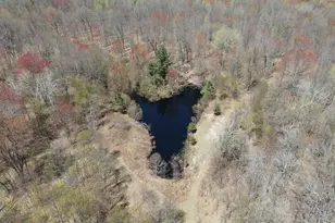 11401 Little George Lake Rd, Gladwin, MI 48624 - Photo 40