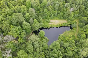 11401 Little George Lake Rd, Gladwin, MI 48624 - Photo 34