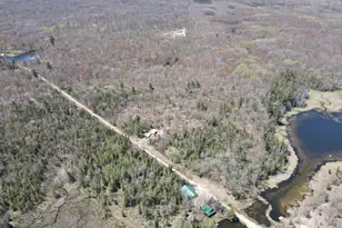 11401 Little George Lake Rd, Gladwin, MI 48624 - Photo 38