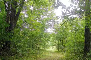 11401 Little George Lake Rd, Gladwin, MI 48624 - Photo 100