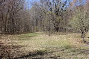 11401 Little George Lake Rd, Gladwin, MI 48624 - Photo 46