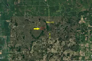 11401 Little George Lake Rd, Gladwin, MI 48624 - Photo 72