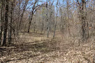 11401 Little George Lake Rd, Gladwin, MI 48624 - Photo 50