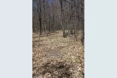 11401 Little George Lake Road, Gladwin, MI 48624 - Photo 56