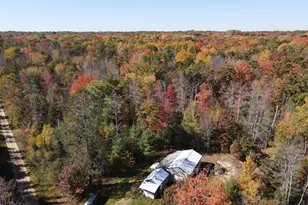 11401 Little George Lake Rd, Gladwin, MI 48624 - Photo 26