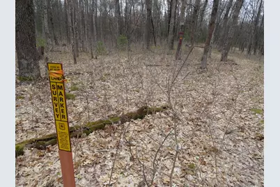 1035 Udell Hills Fire Tower Road, Manistee, MI 49660 - Photo 12