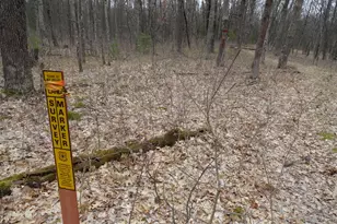 1035 Udell Hills Fire Tower Rd, Manistee, MI 49660 - Photo 12