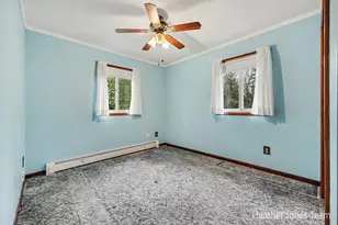 1320 W Stanton Rd, Stanton, MI 48888 - Photo 10