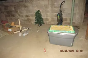 207 Cherry St, Allegan, MI 49010 - Photo 26