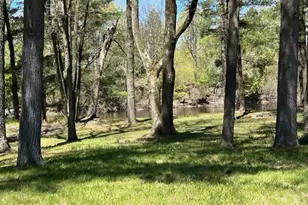 10158 S River Rd, Evart, MI 49631 - Photo 48