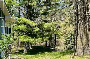 10158 S River Rd, Evart, MI 49631 - Photo 42