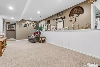 1214 Delaney Drive, Martin, MI 49070 - Photo 26