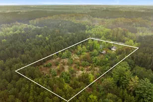 11774 Healy Lake Rd, Bear Lake, MI 49614 - Photo 4