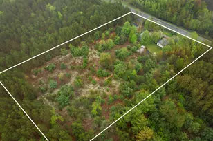 11774 Healy Lake Rd, Bear Lake, MI 49614 - Photo 34