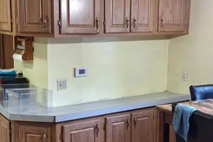 1251 E Station Rd, Sheridan, MI 48884 - Photo 6