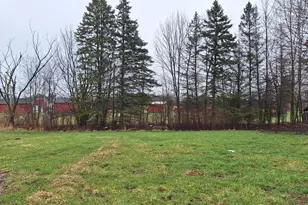 1251 E Station Rd, Sheridan, MI 48884 - Photo 10