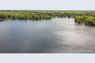2550 Lakeside Drive, Stanton, MI 48888 - Photo 6