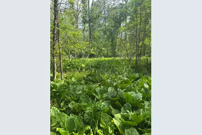 V/L Marshall Road, Tekonsha, MI 49092 - Photo 10
