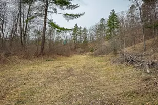 9184 M-37, Wellston, MI 49689 - Photo 88