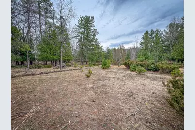 9184 M-37, Wellston, MI 49689 - Photo 86